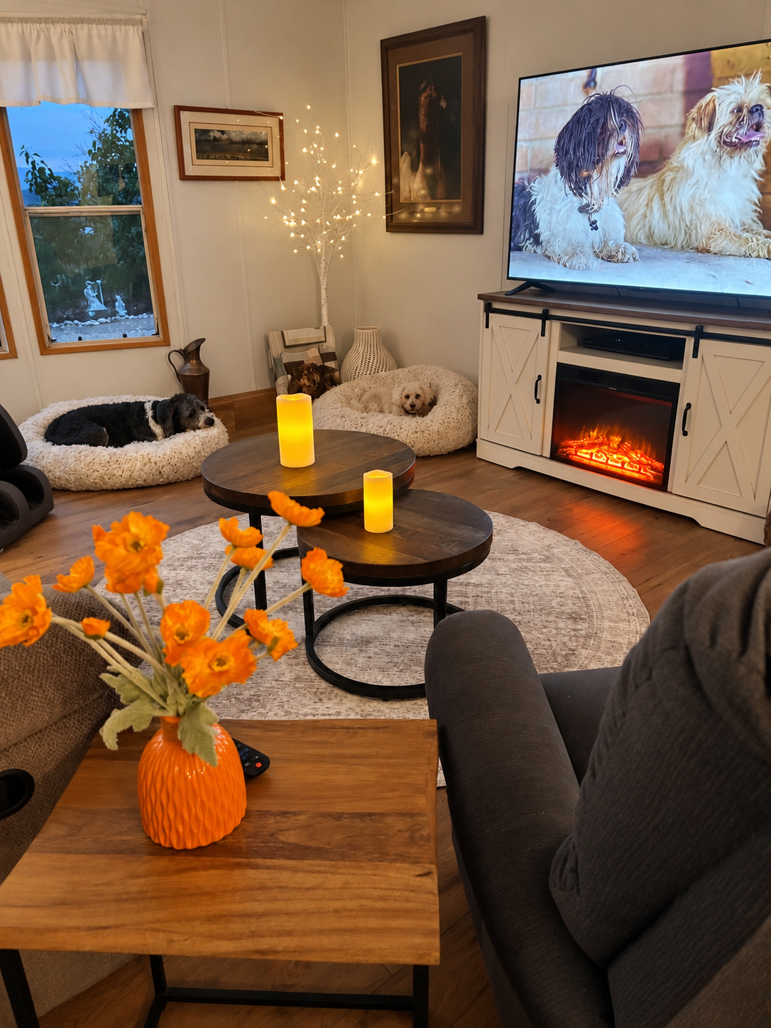 Dogs relaxing in the cozy living room with fireplace at Happy Hounds AZ